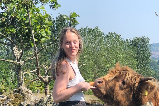 Highland Cows, Walk Alpacas & Visit a Scottish Wildlife Centre - Analyzing the Cost and Experience