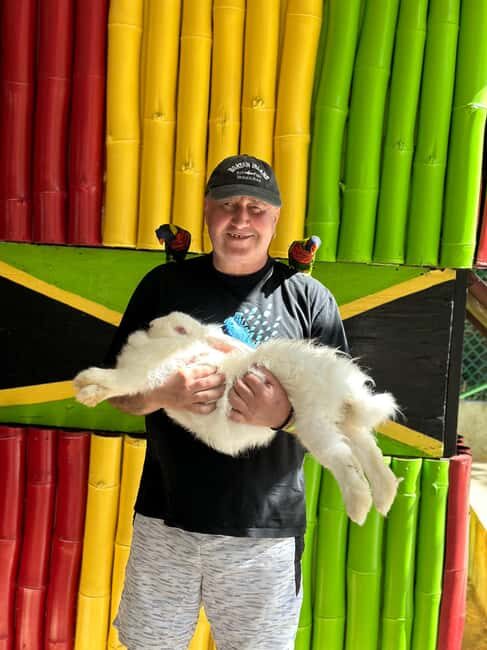 highlight tour bamboo Rafting, Doctor cave beaches - An In-Depth Look at the Tour Experience