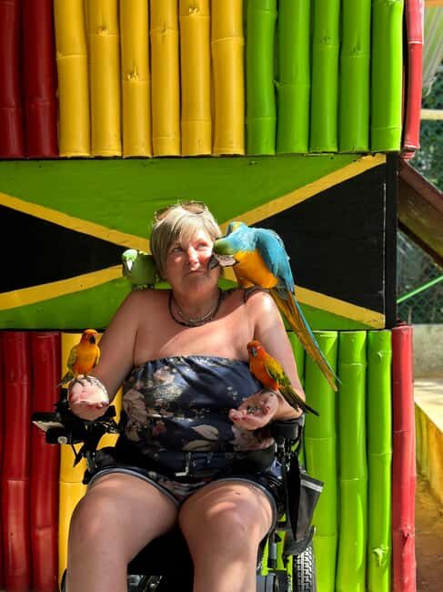 highlight tour bamboo Rafting, Doctor cave beaches - Who Should Consider This Tour?