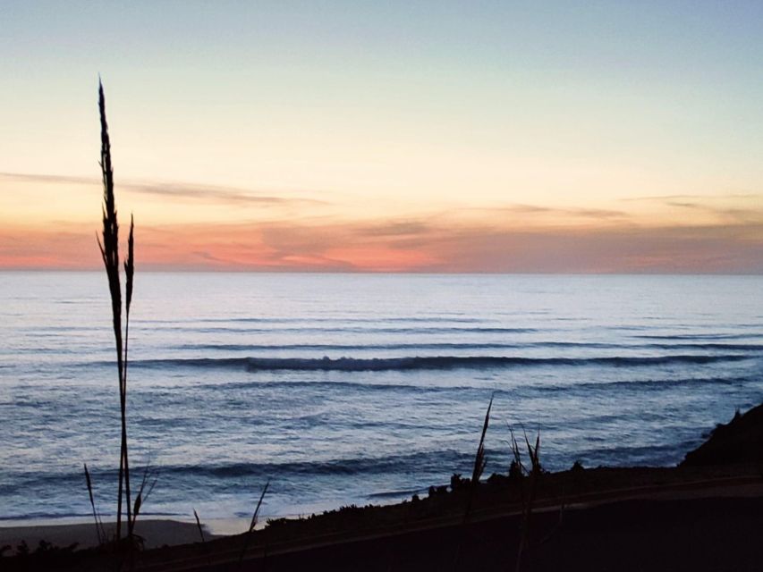 Highlights & Culinary Kickstart of Ericeira | PRIVATE Tour - Ericeiras Transformation