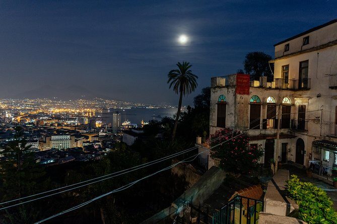 Highlights & Hidden Gems PRIVATE Walking Tour: Naples Delights - Who Would Enjoy This Tour?