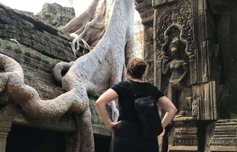 Highlights of Angkor Wat, Ta Prohm & Angkor Thom - An Introduction to the Tour Experience