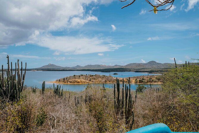 Highlights of Bonaire - What Travelers Say