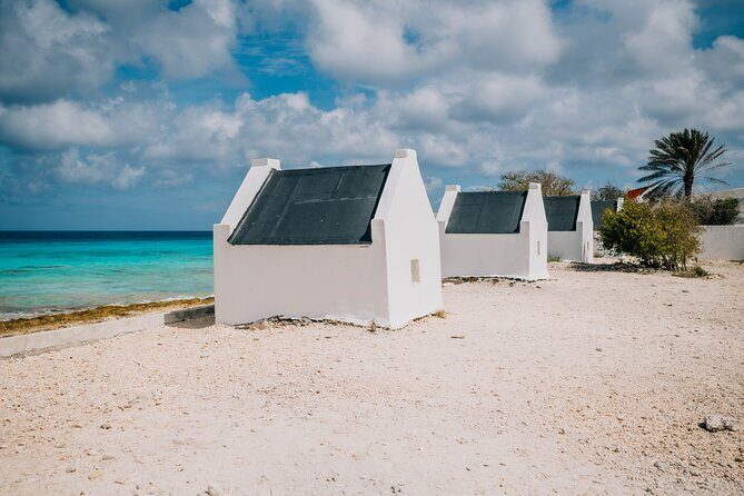 Highlights of Bonaire - Who Should Book This Tour?