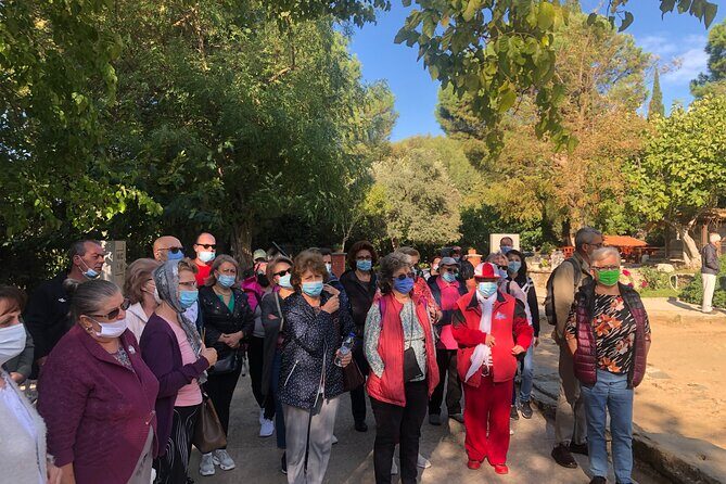 Highlights of Ephesus Tour from Izmir Port / Cruisers only - Introduction