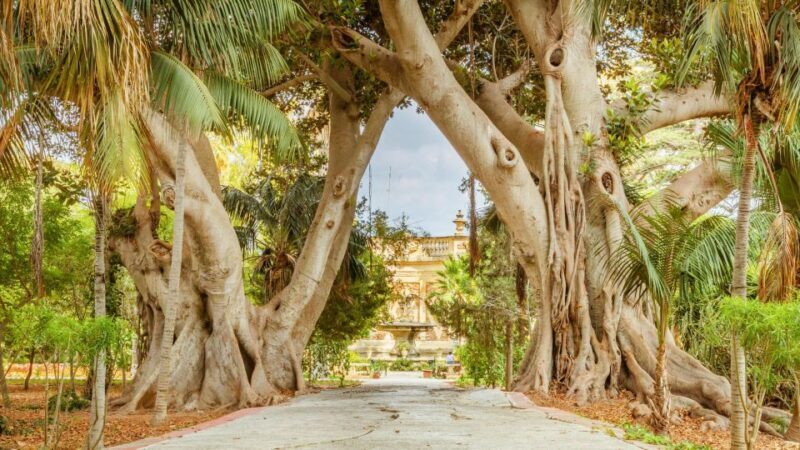 Highlights of Malta Tour:Icons and Experiences of the Island - The Sum Up