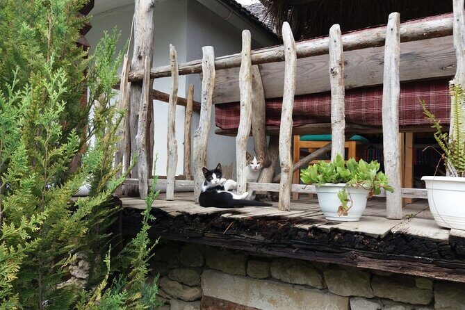 Highlights of Moldova - 3 destinations in 1 day-Small Group Tour - FAQ