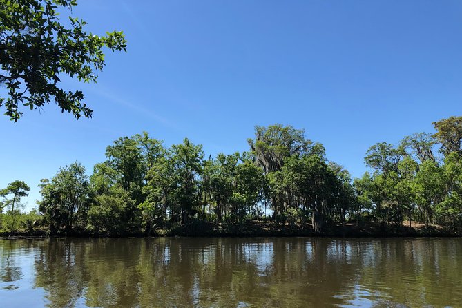 Highlights of New Orleans City and Swamp Tour Combination - Immersive Swamp Tour Experience
