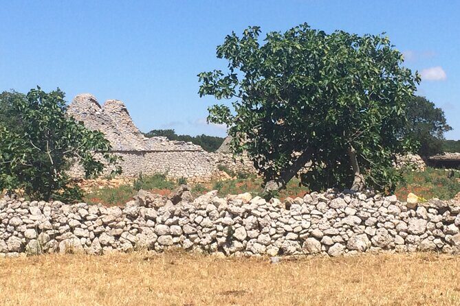 Highlights of Puglia: Bari, Alberobello and the charming villages - Introduction  