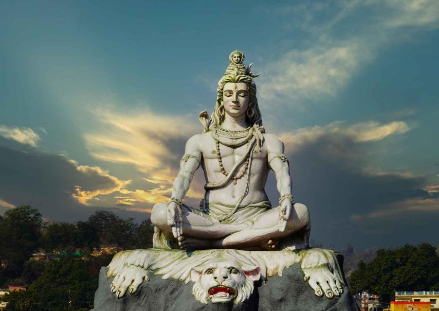 Highlights of Rishikesh & Haridwar (Guided Fullday Tour) - Customer Testimonials