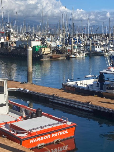 Highlights Of, Santa Barbara and or Winery Tours . - Uncover the Natural Beauty Surrounding