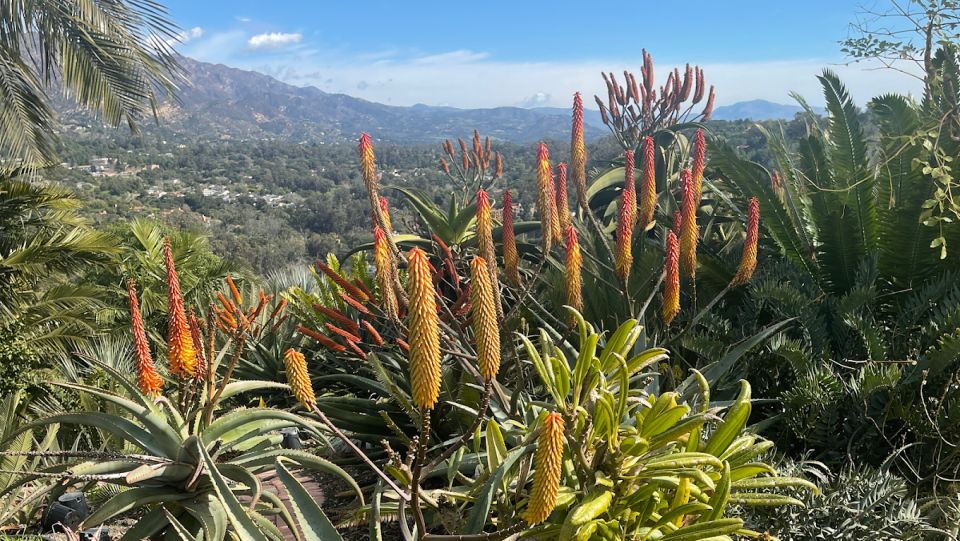 Highlights Of, Santa Barbara and or Winery Tours . - Itinerary and Logistics of the Tour