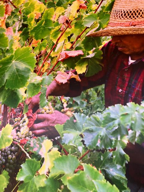 Highlights Of, Santa Barbara and or Winery Tours . - Frequently Asked Questions
