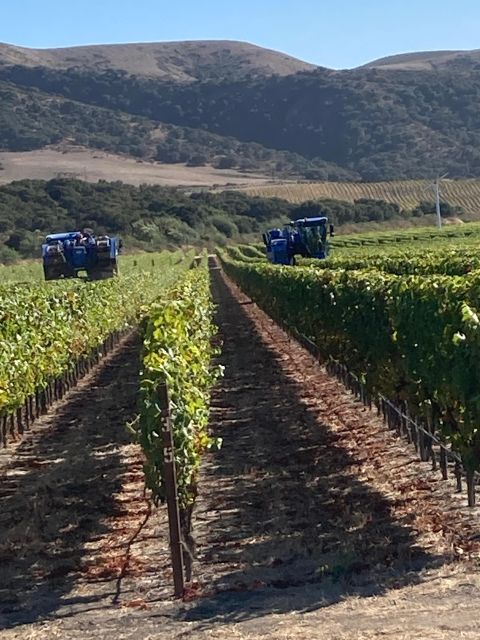 Highlights Of, Santa Barbara and or Winery Tours . - Highlights and Attractions