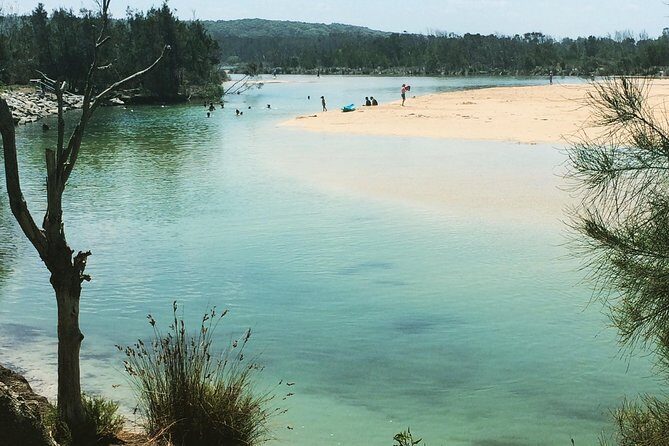 Highlights of the Eurobodalla (half day private tour) - An In-Depth Look at the Itinerary