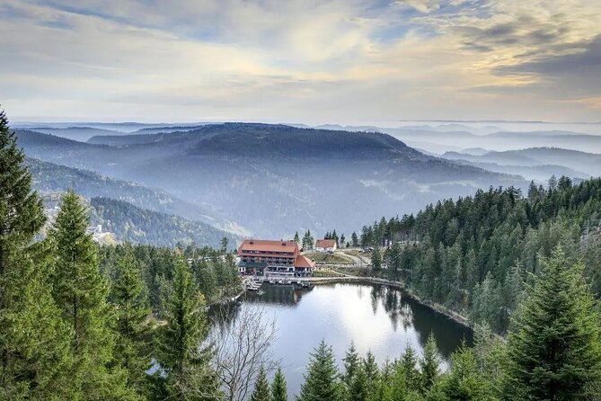 Highlights of the Romantic Black Forest & Brewery, Private Tour - Breathtaking Black Forest Scenery