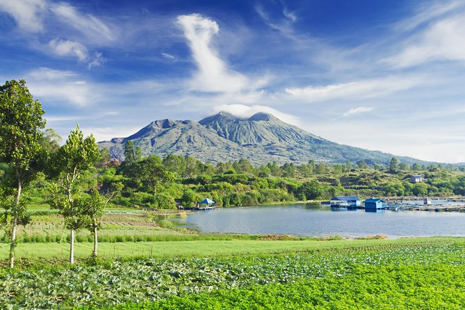 Highlights of Ubud & Mount Batur Volcano - Private Day Trip - Highlights of Ubud