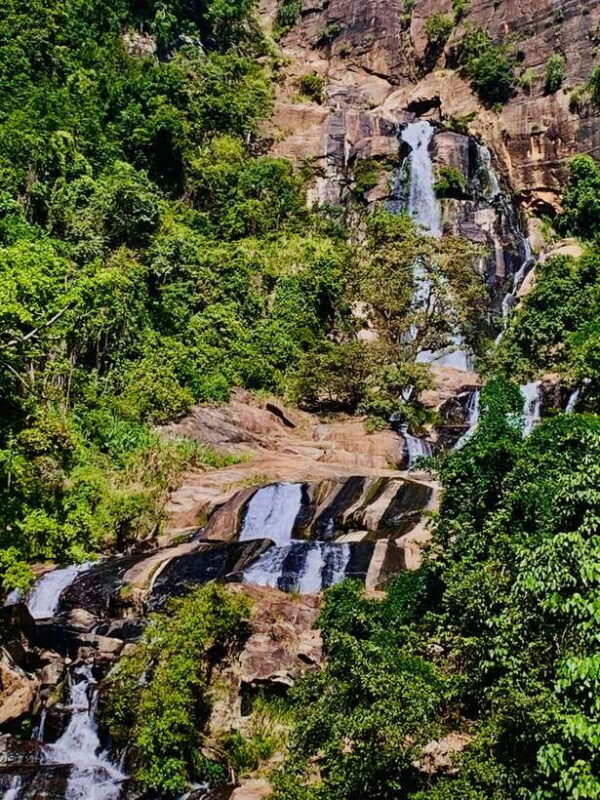 Highlights tour with tasting & Green environment in ella - An Introduction to the Tour