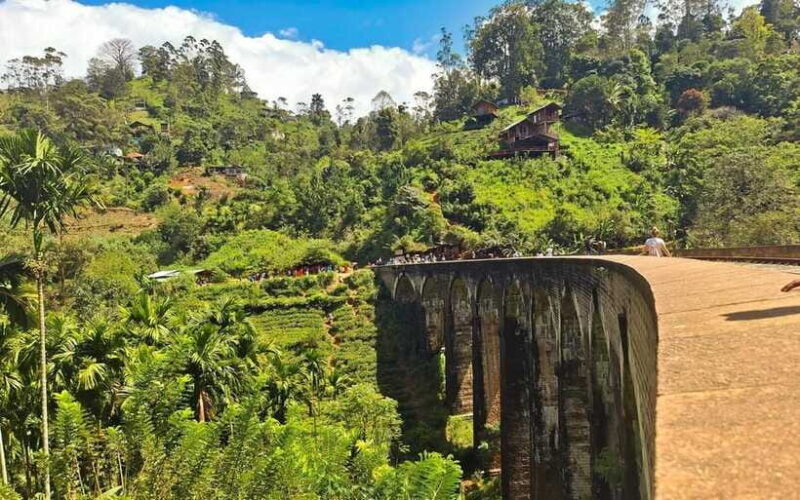 Highlights tour with tasting & Green environment in ella - What Travelers Say