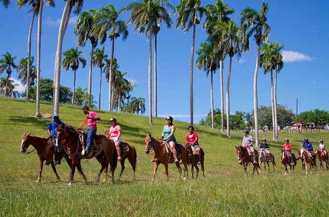 Higuey City Guided Tour from Punta Cana - What the Reviews Say