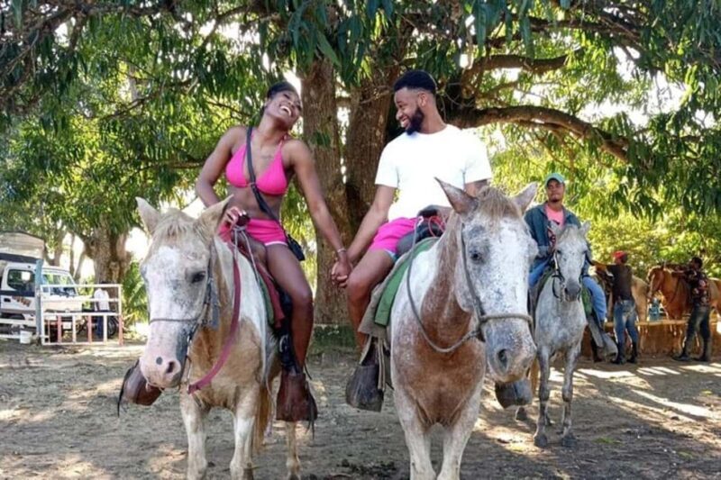 Higüey Cultural Tour: From the Basilica to the Beaches of Macao - Who Will Love This Tour?