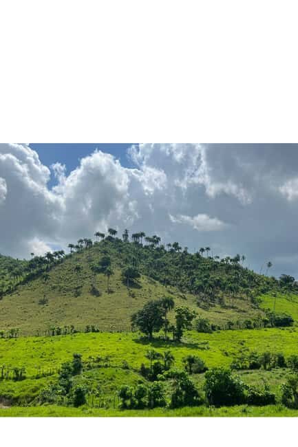 Higuey discovery, coffee and cocoa tasting from punta cana - The Experience of the Guides