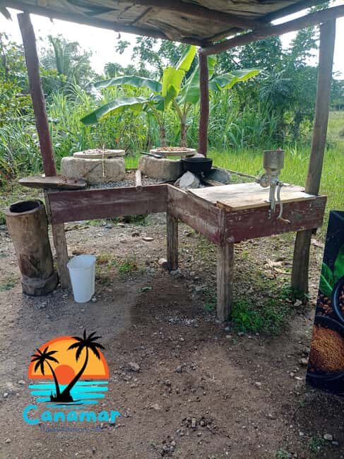 Higuey discovery, coffee and cocoa tasting from punta cana - The Sum Up: Is It Worth It?