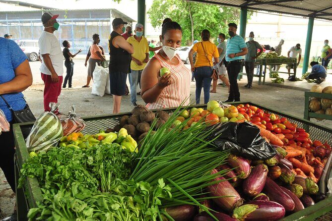 Higuey expedition cultural and historical tour from Punta Cana - Key Points