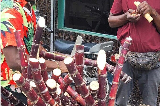 Higuey expedition cultural and historical tour from Punta Cana - Practical Details and Considerations