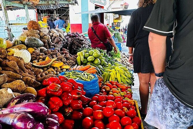 Higuey expedition cultural and historical tour from Punta Cana - Final Thoughts: Who Will Love This Tour?