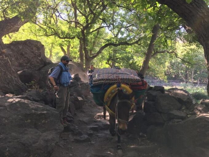 Hike 3 Days in Imlil and in the Valleys of Azzaden - Cancellation and Flexibility