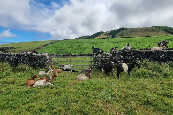 Hike 3 Hours Inland Terceira Island - Preparing for the Hike