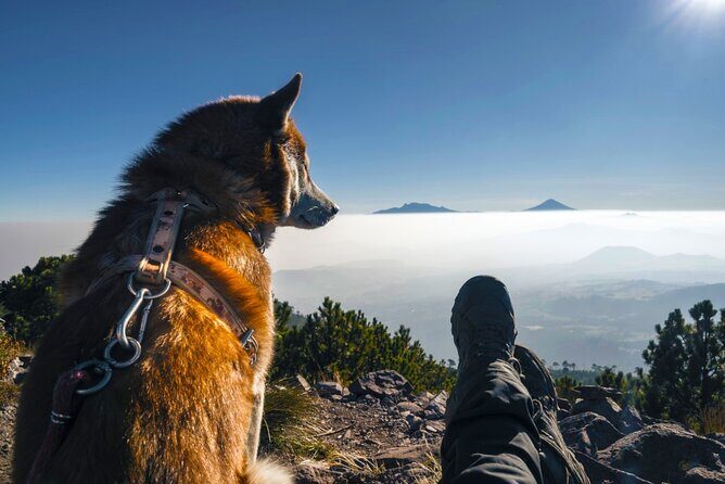 Hike Ajusco Volcano Sunrise Summit Adventure Photos and Video - Who Will Love This Tour?