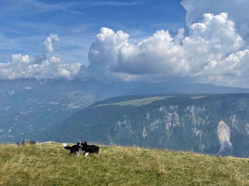 Hike and Yoga in the Dolomites - Meet Your Guides