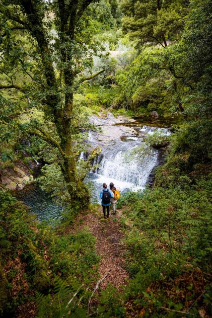Hike, Dive & Dine Like A Local in a Secret Spot - Hidden Gem of Viana Do Castelo