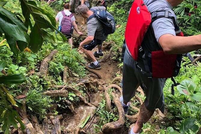 Hike El Yunque Rainforest and Kayak Bio Bay Combo Tour - FAQs