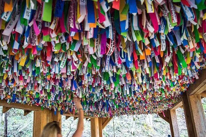 Hike explore and more in The Great Smoky Mountains - What to Expect from Your Day at Foxfire Adventure Park