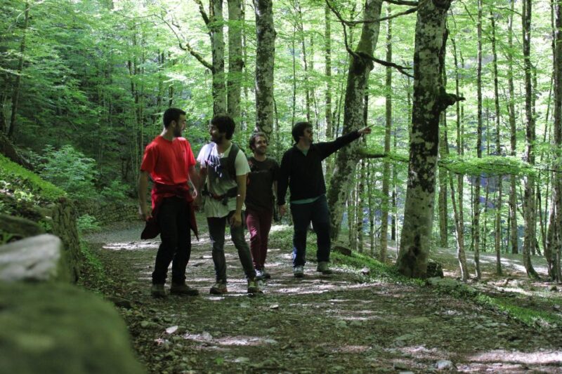 Hike From San Sebastian To San Pedro Across St James Way - Pricing and Booking