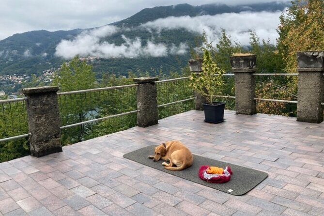 Hike in Blevios Forest for a Private Yoga Class - Authenticity and Customer Feedback