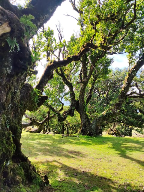 Hike in Fanal in a different way - Key Points
