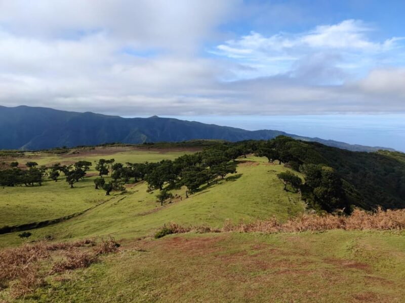 Hike in Fanal in a different way - What Makes This Tour Stand Out