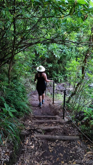 Hike in Rabaçal in a different way - A detailed look at what this Madeira hike offers