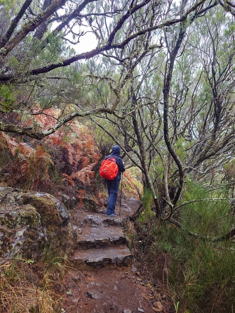 Hike in Rabaçal in a different way - Frequently Asked Questions