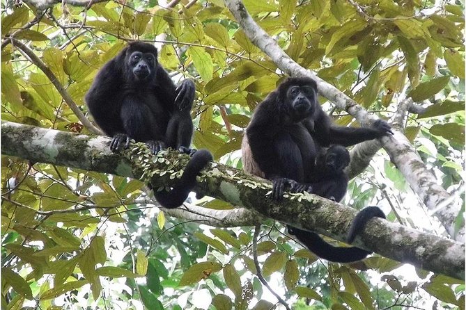 Hike in the Gandoca-Manzanillo Refuge - Tour Meeting Point
