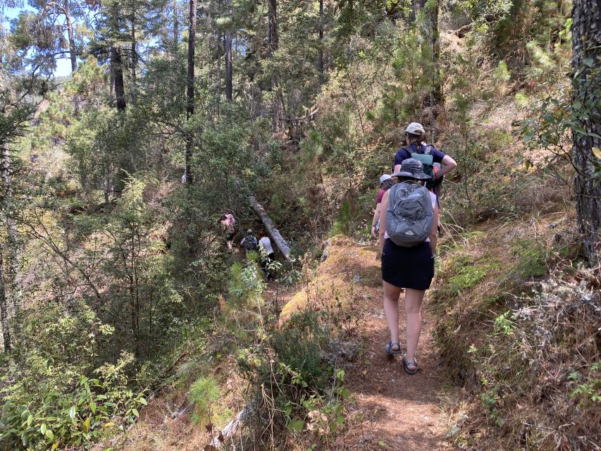 Hike in the Sierra Norte, Cuajimoloyas - Experience Overview