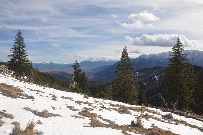 Hike in the Wild Private Photo Tour - Cancellation Policy