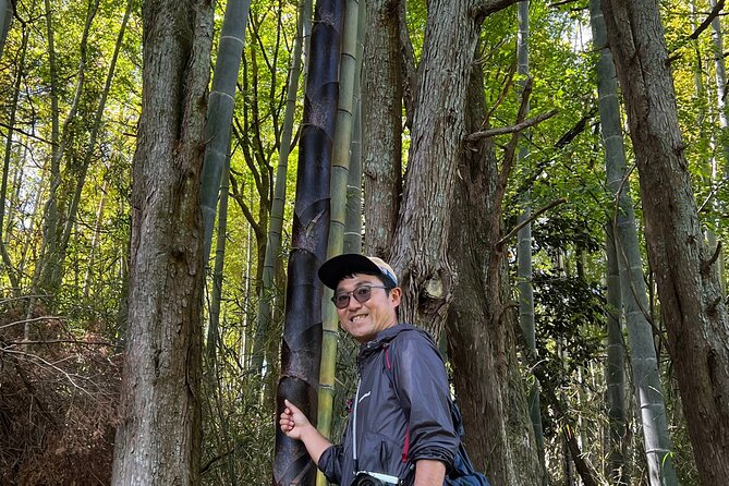 Hike Japan Heritage Hakone Hachiri With Certified Mountain Guide - Included in the Tour