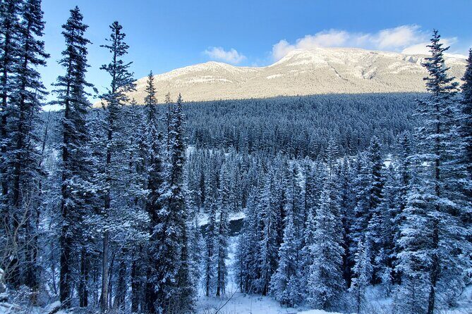 Hike Joffre Lake, Whistler & Shannon Falls Tour - Exploring the Itinerary: What to Expect