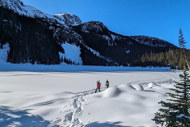 Hike Joffre Lake, Whistler & Shannon Falls Tour - Final Thoughts: Who Will Love This Tour?