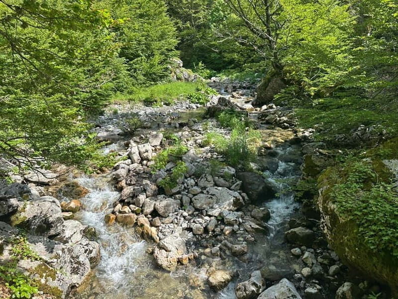 Hike Like Locals: Discover Albania's Hidden Mountain Trail - The Value of This Experience
